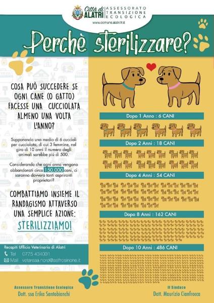 Perchè sterilizzare? Una scelta cosciente per combattere il randagismoCampagna di sterilizzazione 